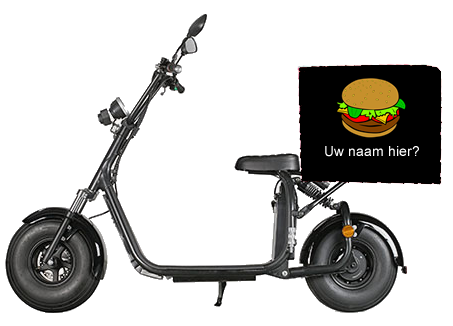 Ecruiser X1 - Delivery Cruiser