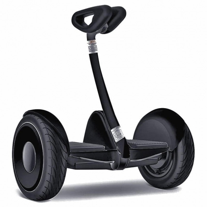 Ninebot by Segway S