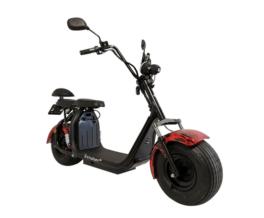 Ecruiser X1 - Flames