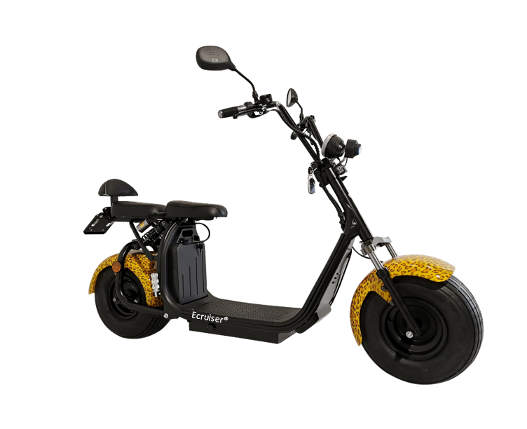 Ecruiser X1 - Panter