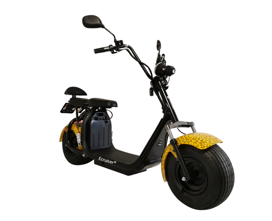 Ecruiser X1 - Panter