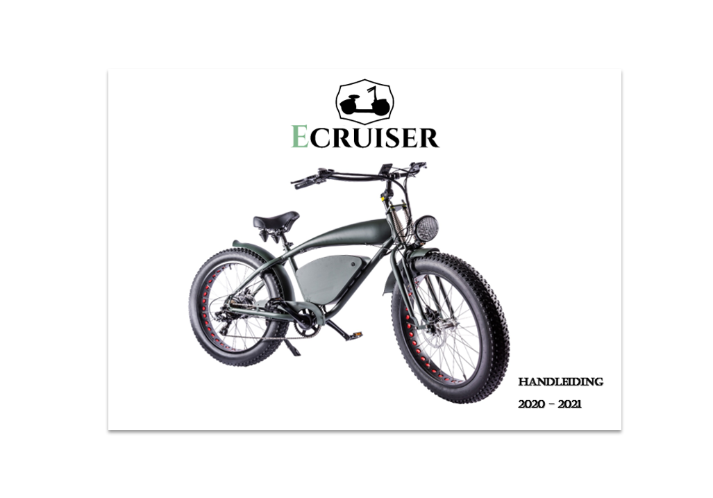 Vintage-Cruiser Ebike | Groen