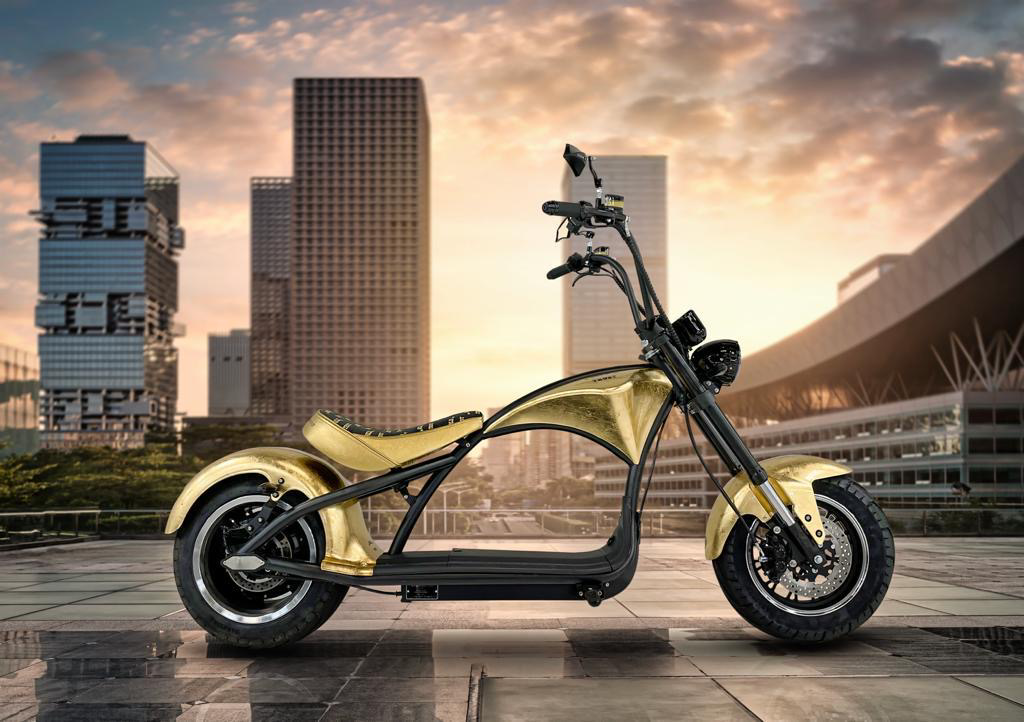 Echopper 24K Blad goud | XCW special