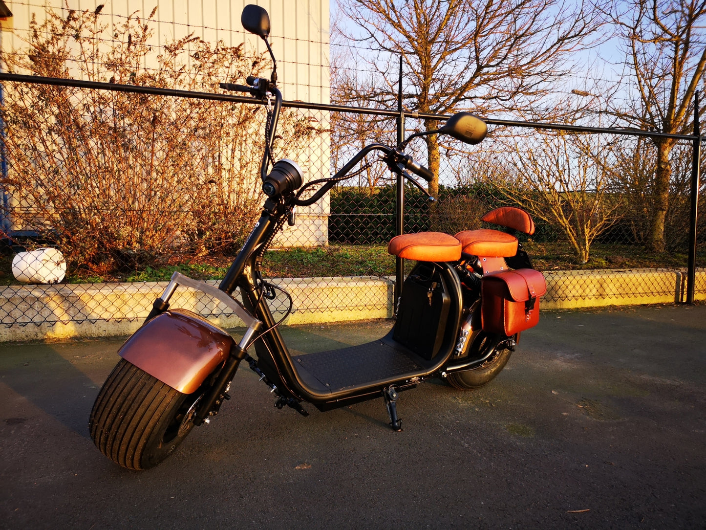 Ecruiser X1 - Custom Coffee