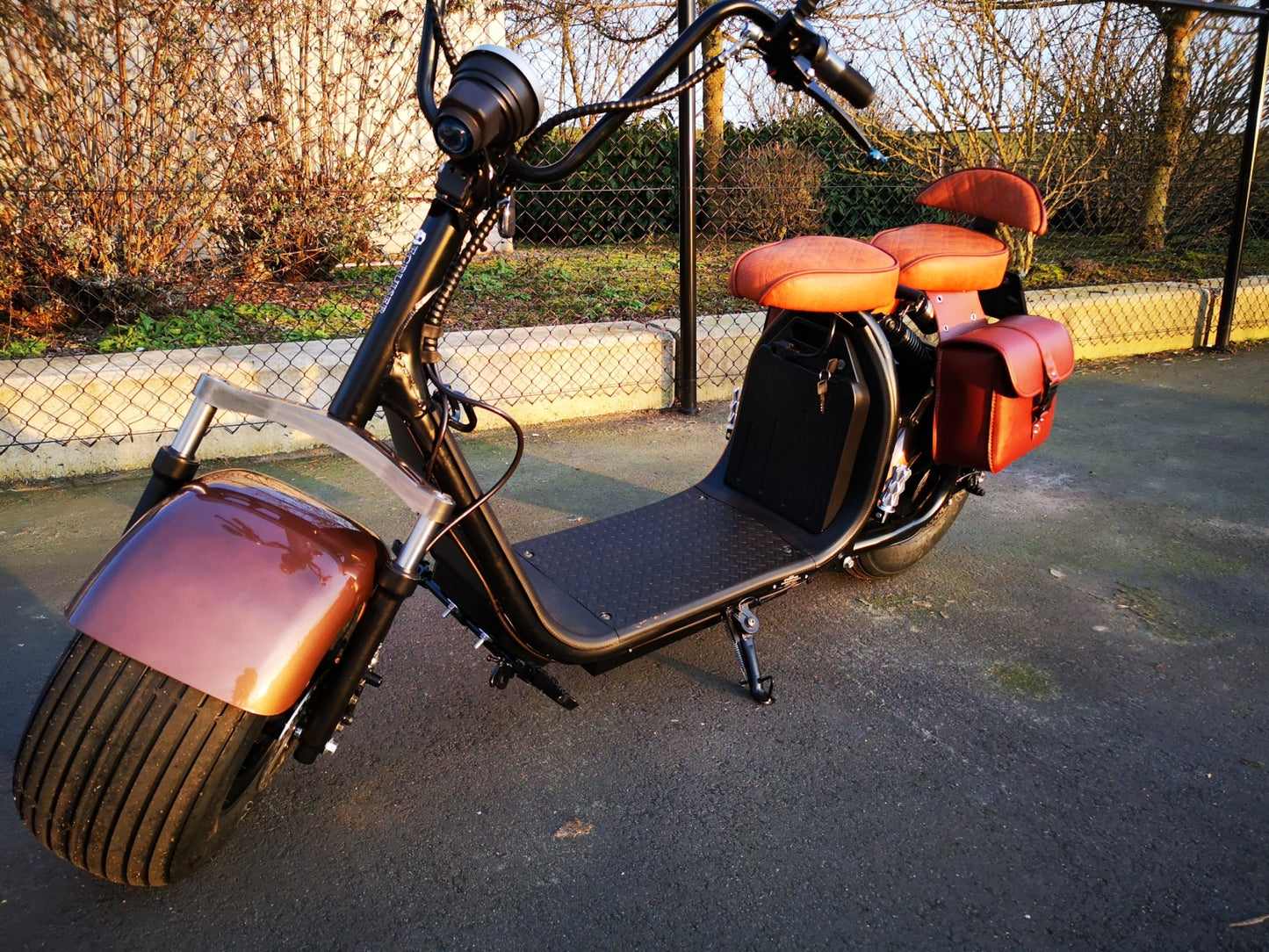 Ecruiser X1 - Custom Coffee