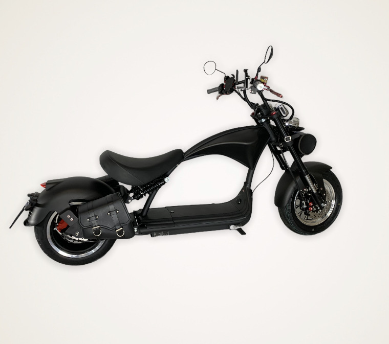 Echopper 3.0 | Bobber Style | Matt Zwart |