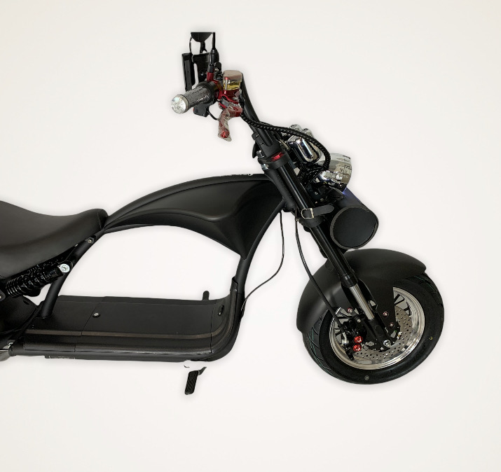 Echopper 3.0 | Bobber Style | Matt Zwart |