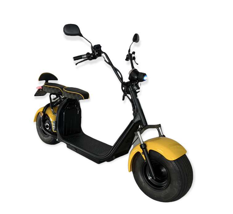 Ecruiser X1 - Black&Yellow