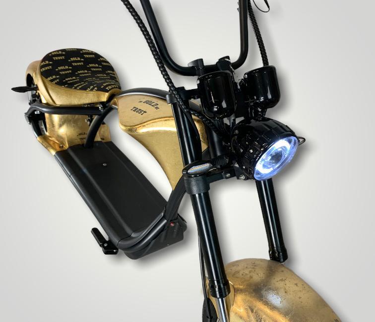 Echopper 24K Blad goud | XCW special