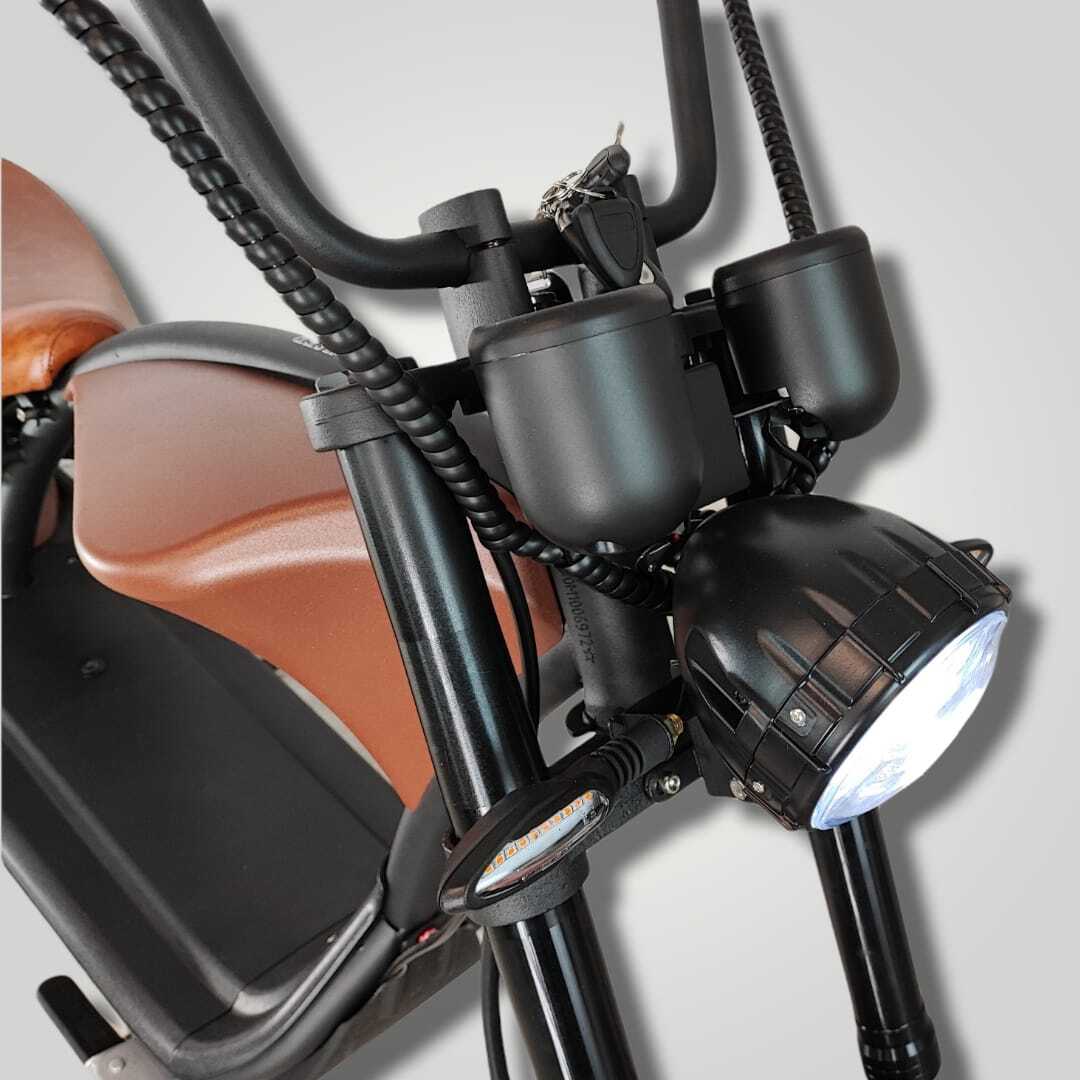 Ecruiser Echopper 3.0 | Roest