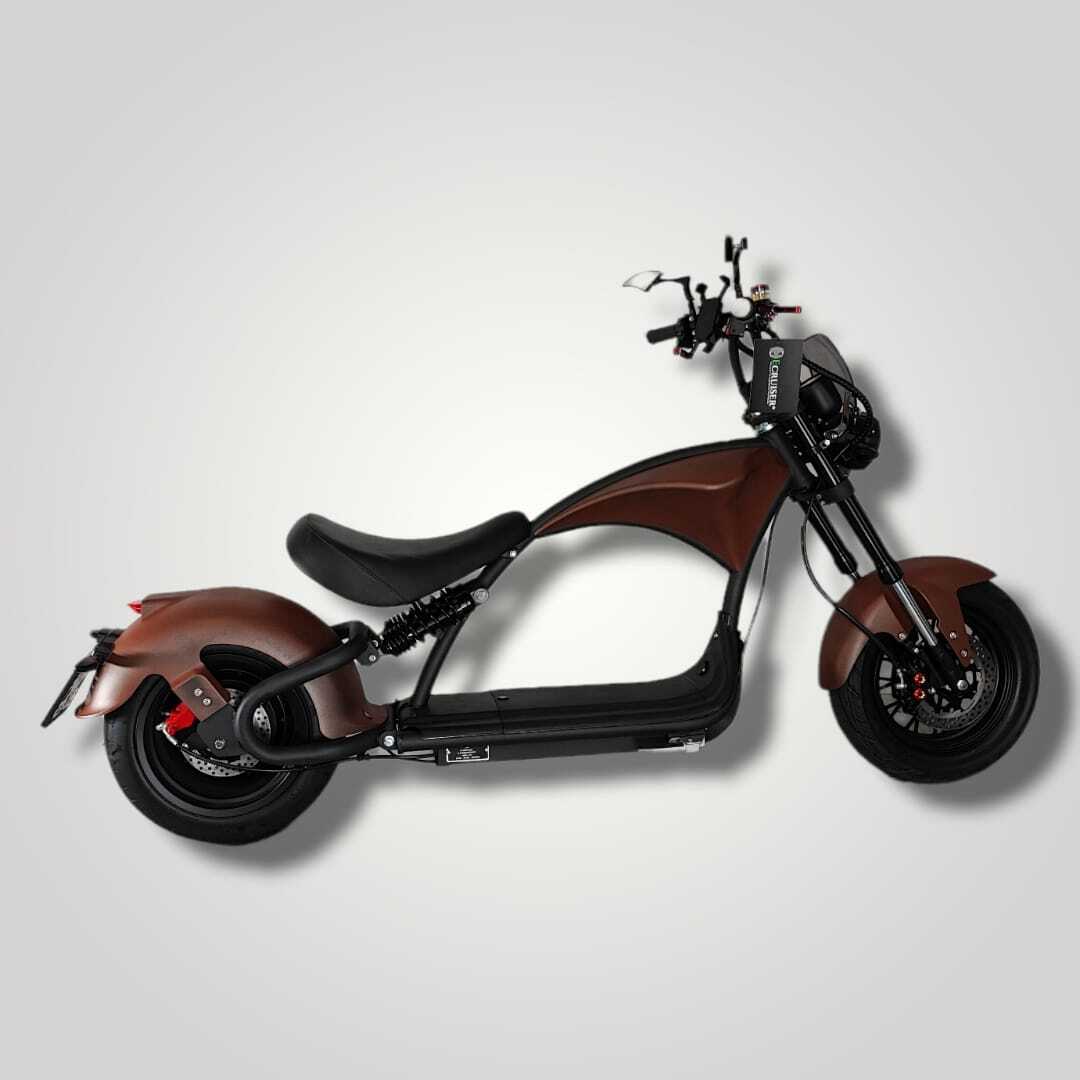 Ecruiser Echopper 3.0 | Rat rod