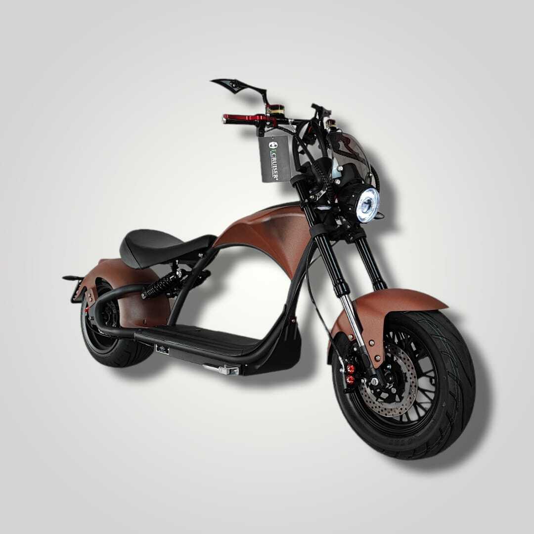 Ecruiser Echopper 3.0 | Rat rod