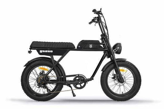 AGM GT250 | Fat Bike - afbeelding 4
