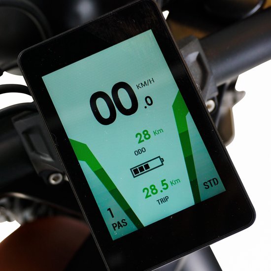 Urban Fat-bike