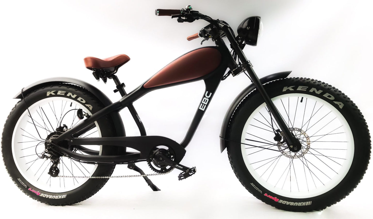 Urban Fat-bike