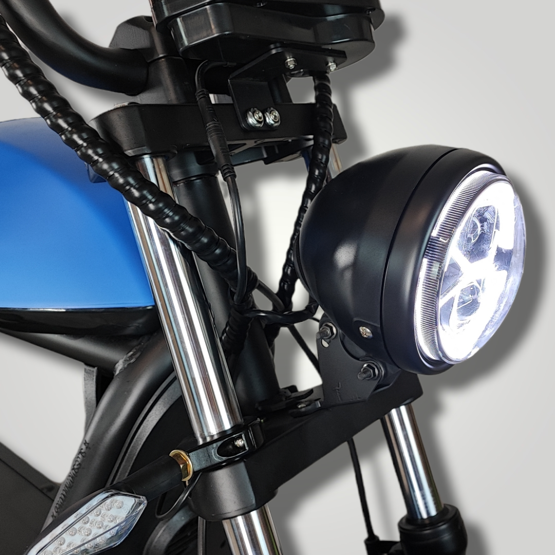 Cafecruiser HL6.0 | Goblin M.Blue