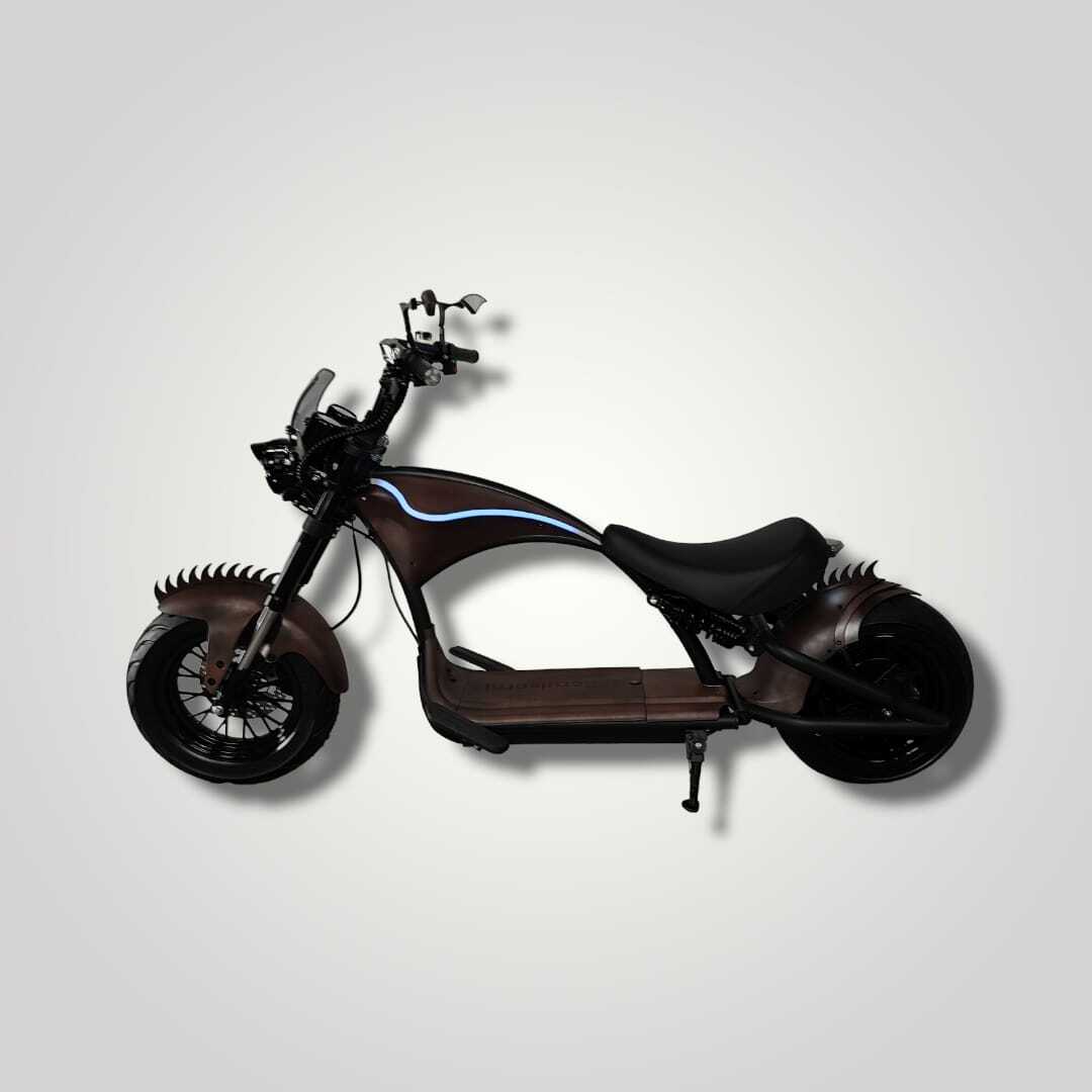 Ecruiser Echopper 3.0 | Mad Max
