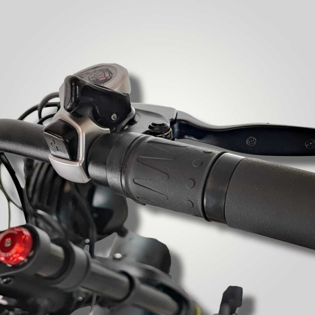 Alligator E-bike