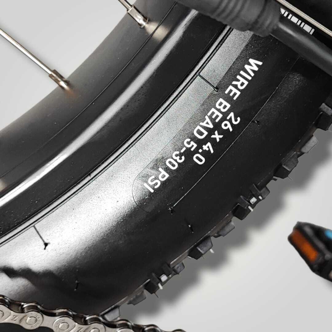 Alligator E-bike
