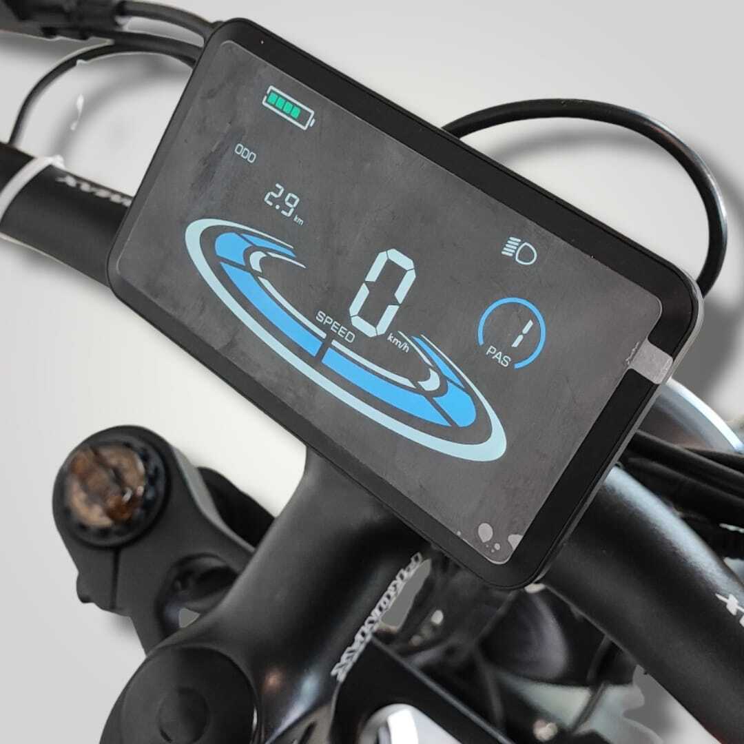 E-Carus | Trail Bike