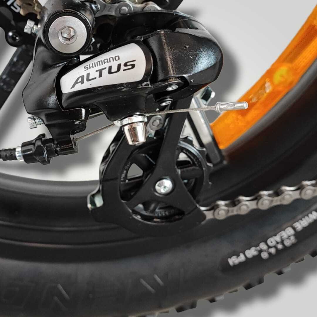 E-Carus | Trail Bike