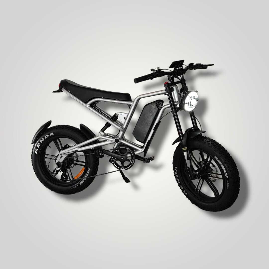 E-Carus | Trail Bike