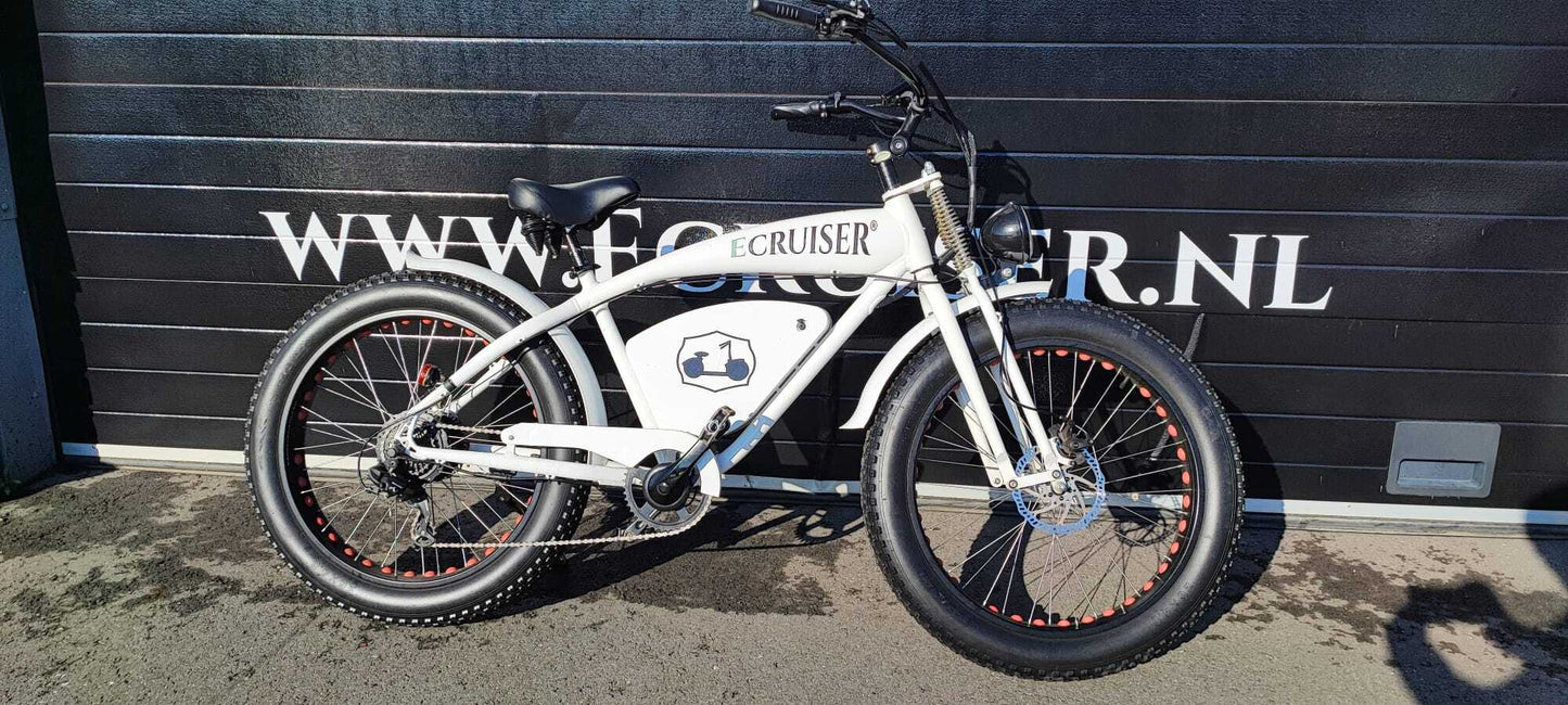 Vintage-Cruiser Ex demo