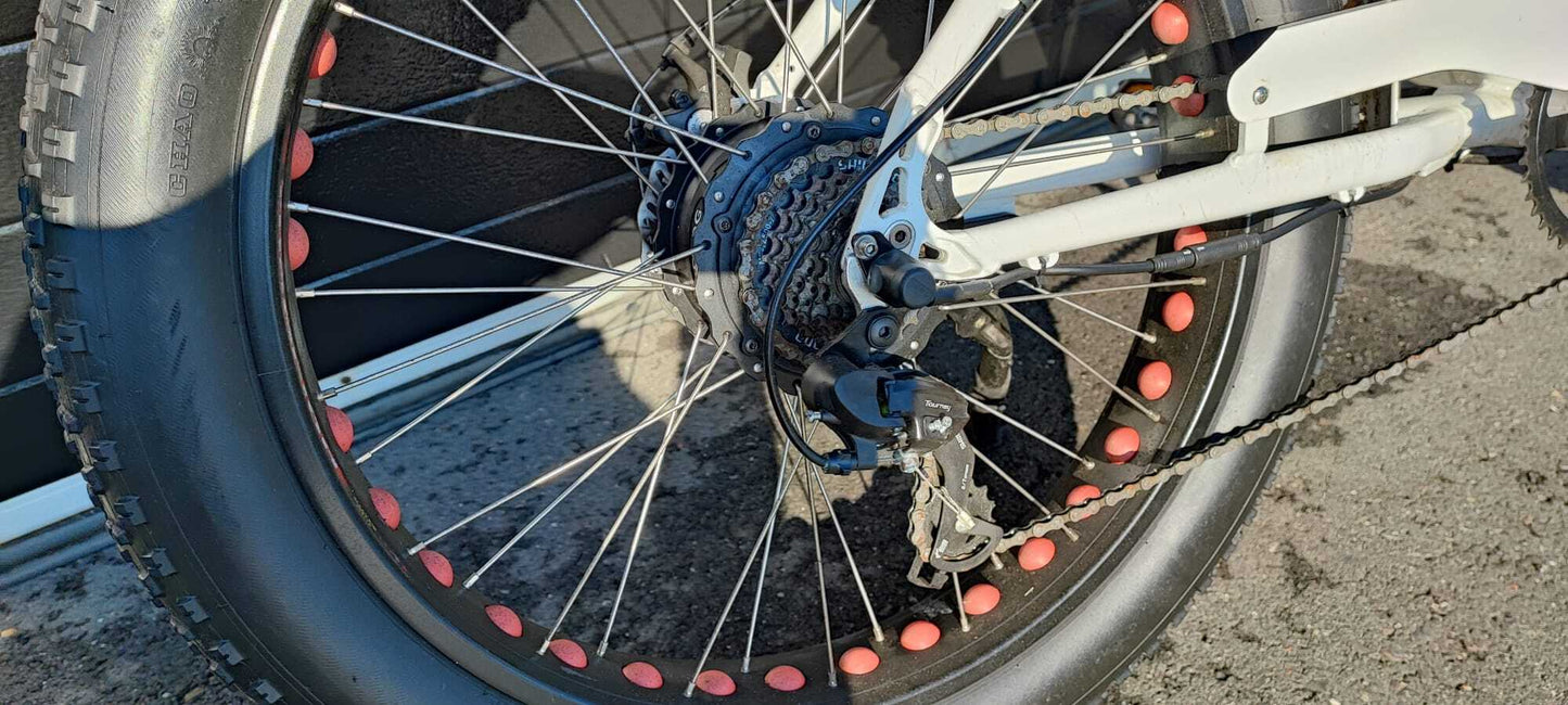 Vintage-Cruiser Ex demo