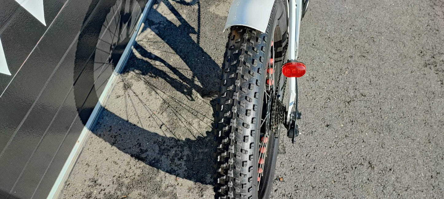 Vintage-Cruiser Ex demo