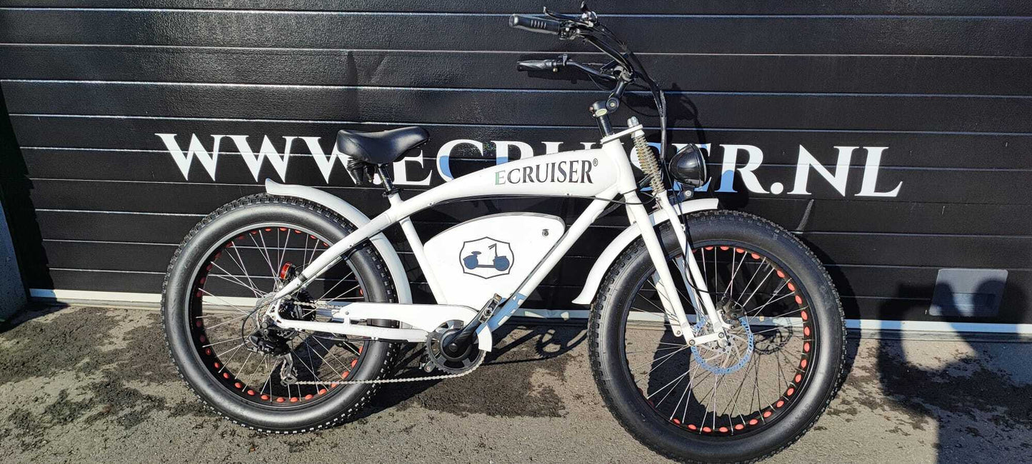 Vintage-Cruiser Ex demo