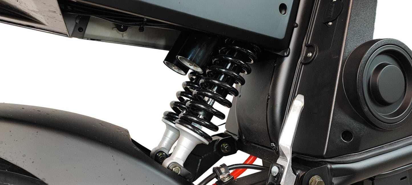 E-Zeus - Black edition