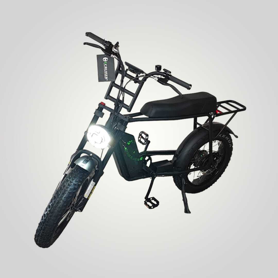 V10 | Fat-Bike