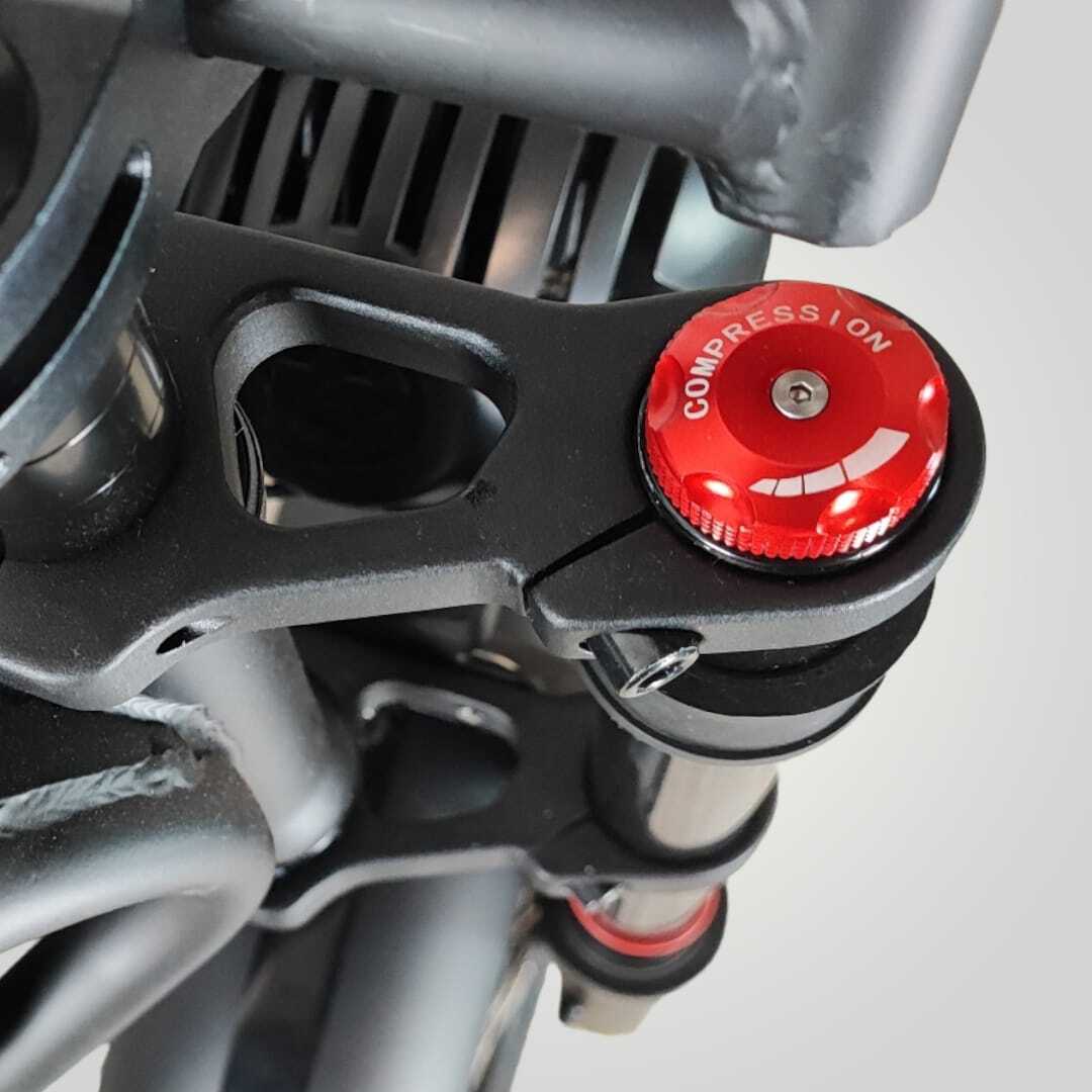 V10 | Fat-Bike