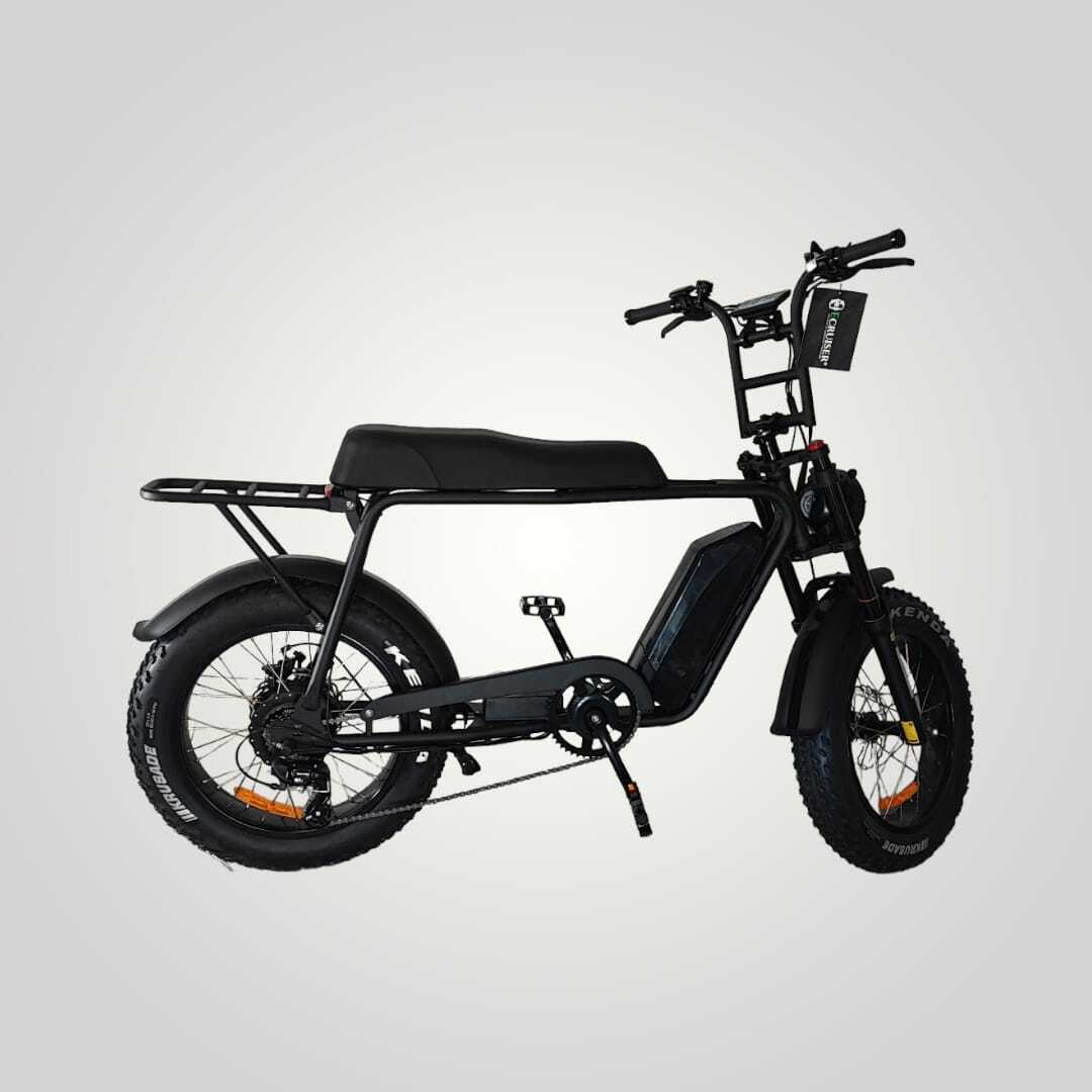 V10 | Fat-Bike