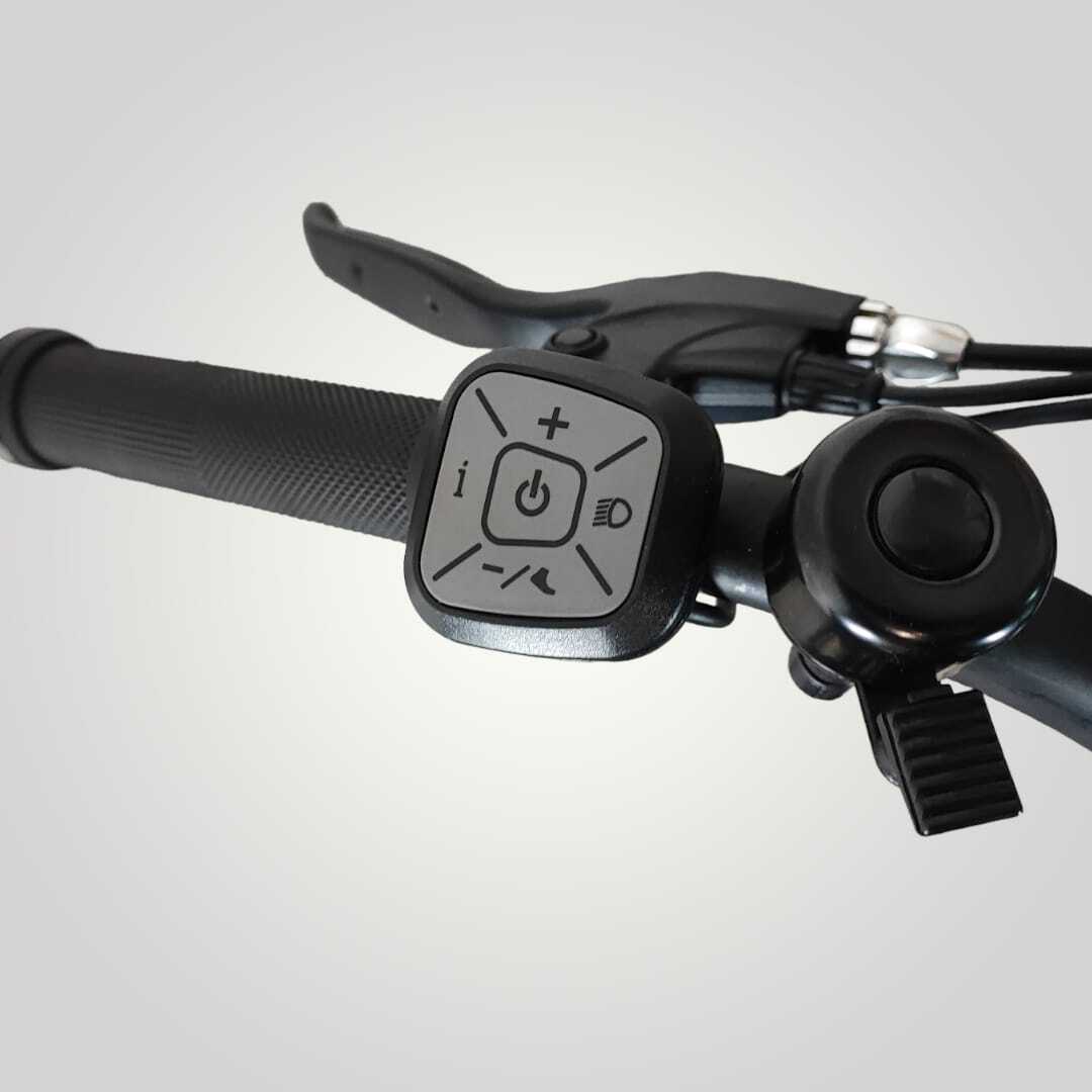 V10 | Fat-Bike