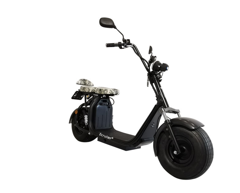 Ecruiser X1 CUSTOM EDITION