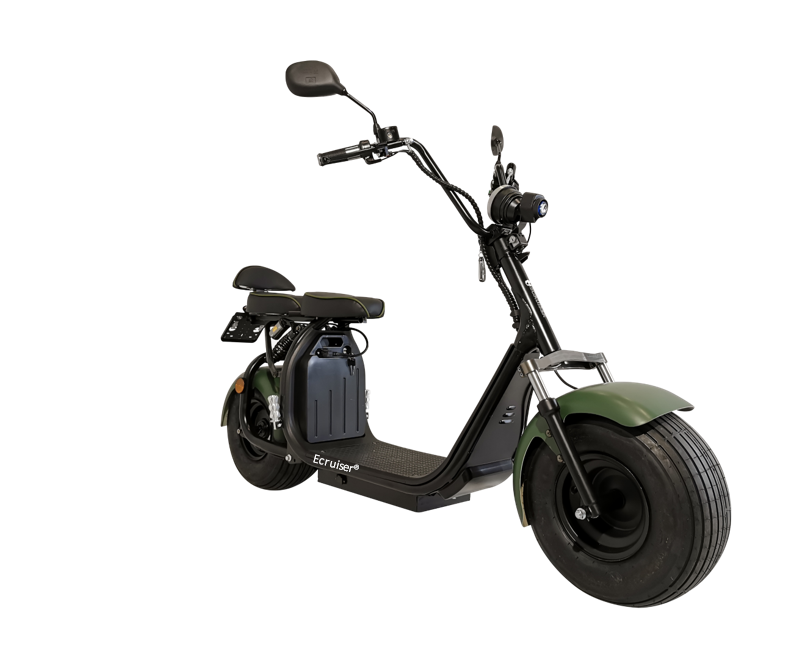 Ecruiser X1 CUSTOM EDITION