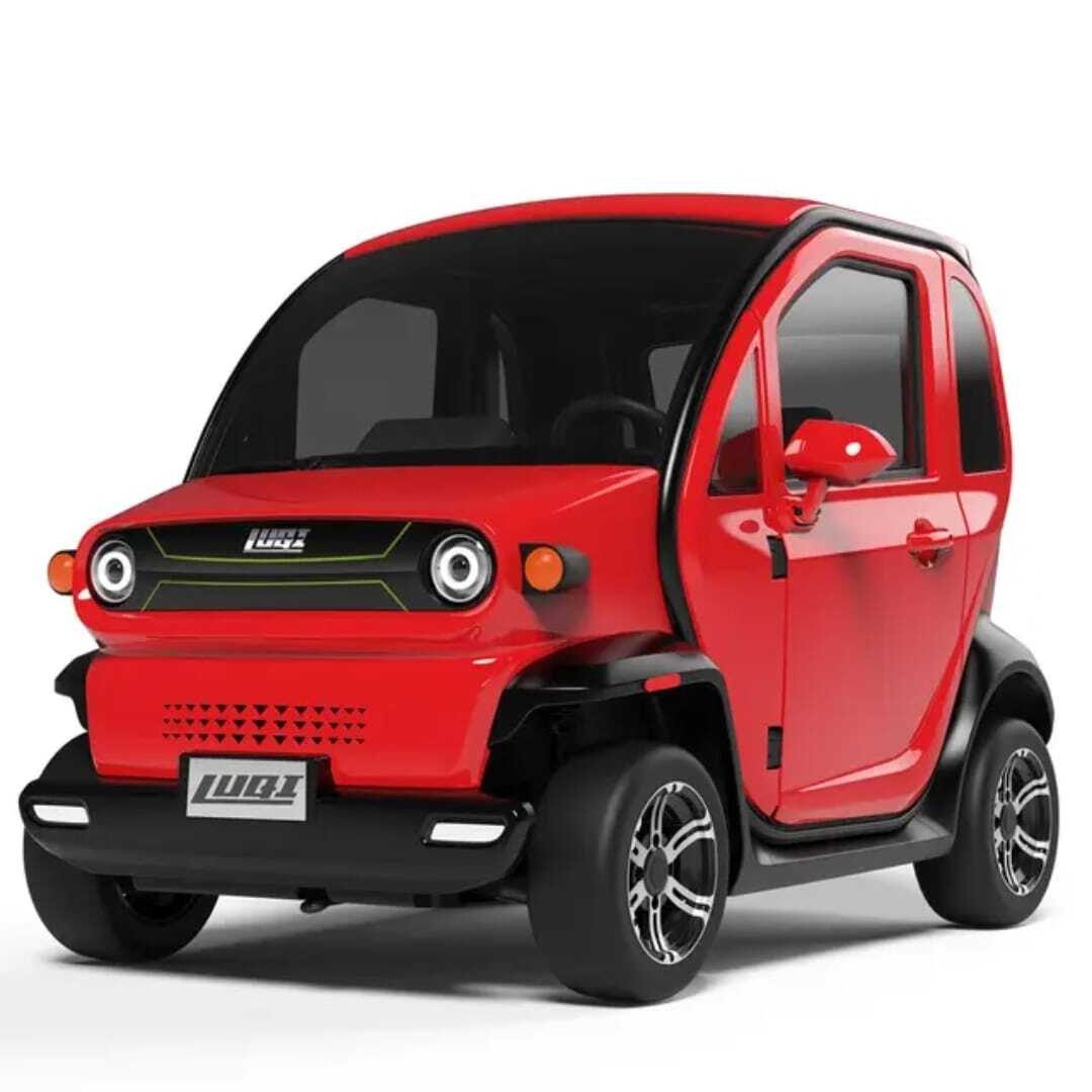 Luqi EV300