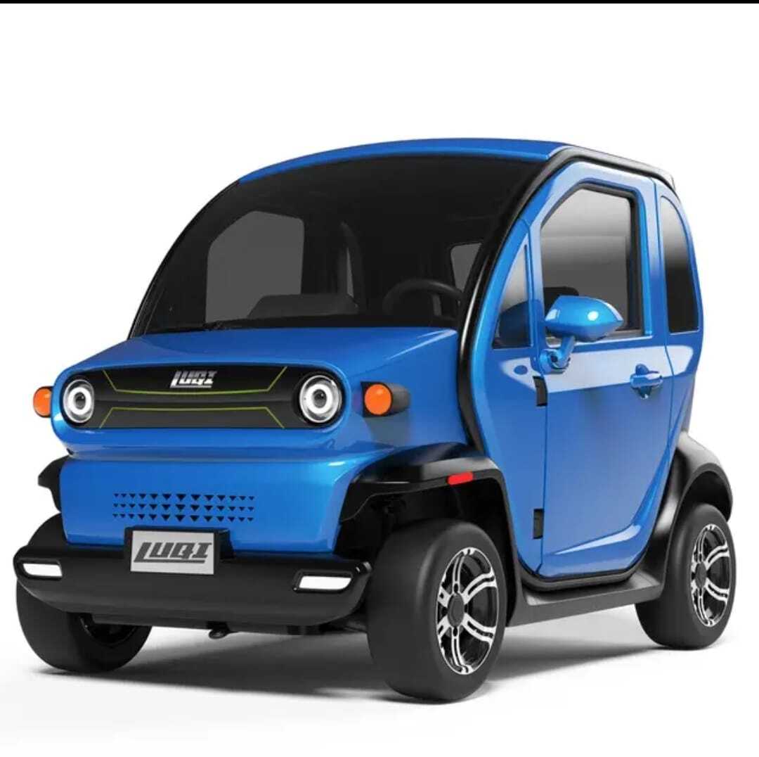 Luqi EV300