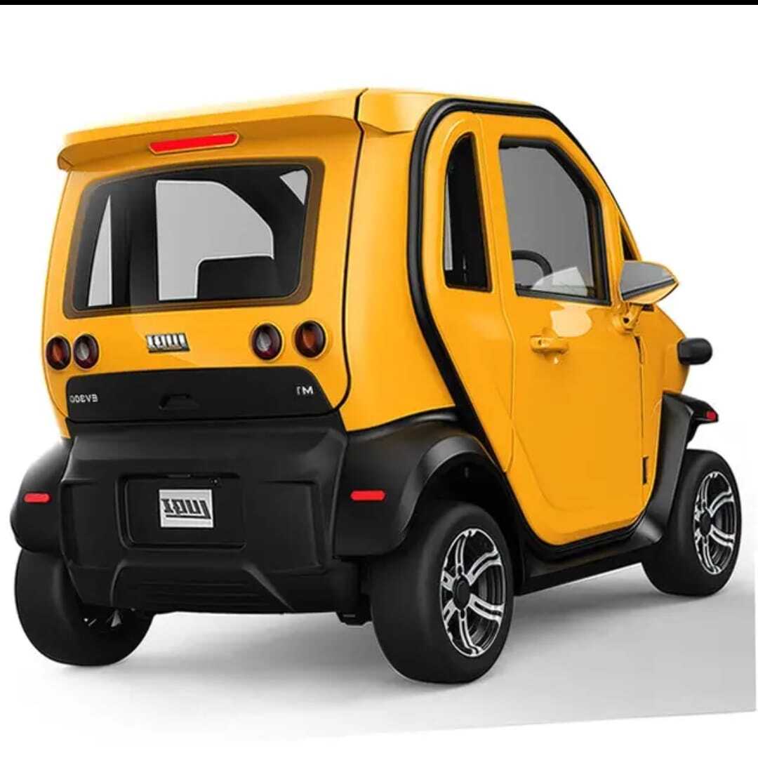 Luqi EV300