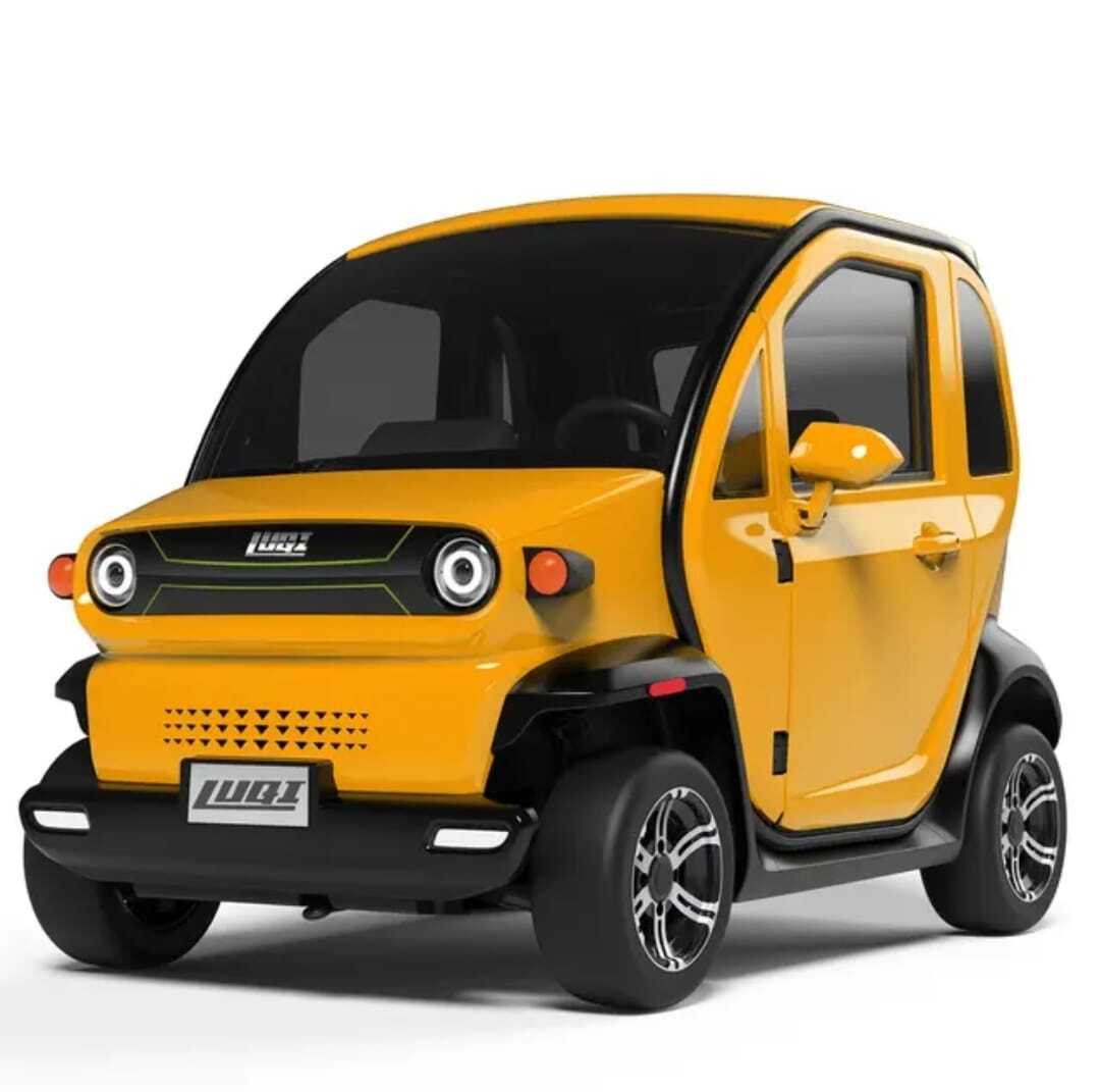 Luqi EV300