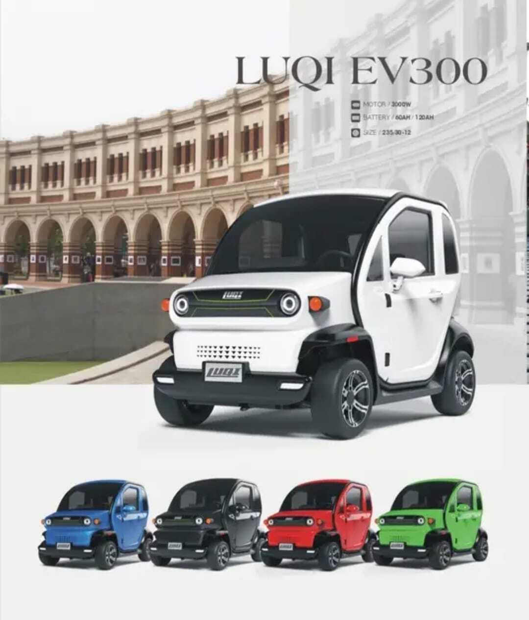 Luqi EV300