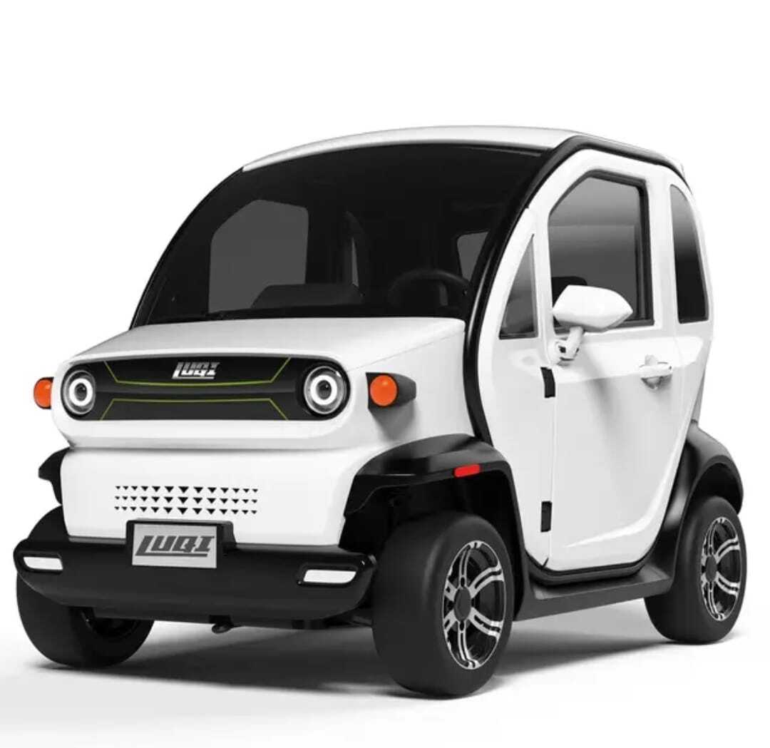Luqi EV300