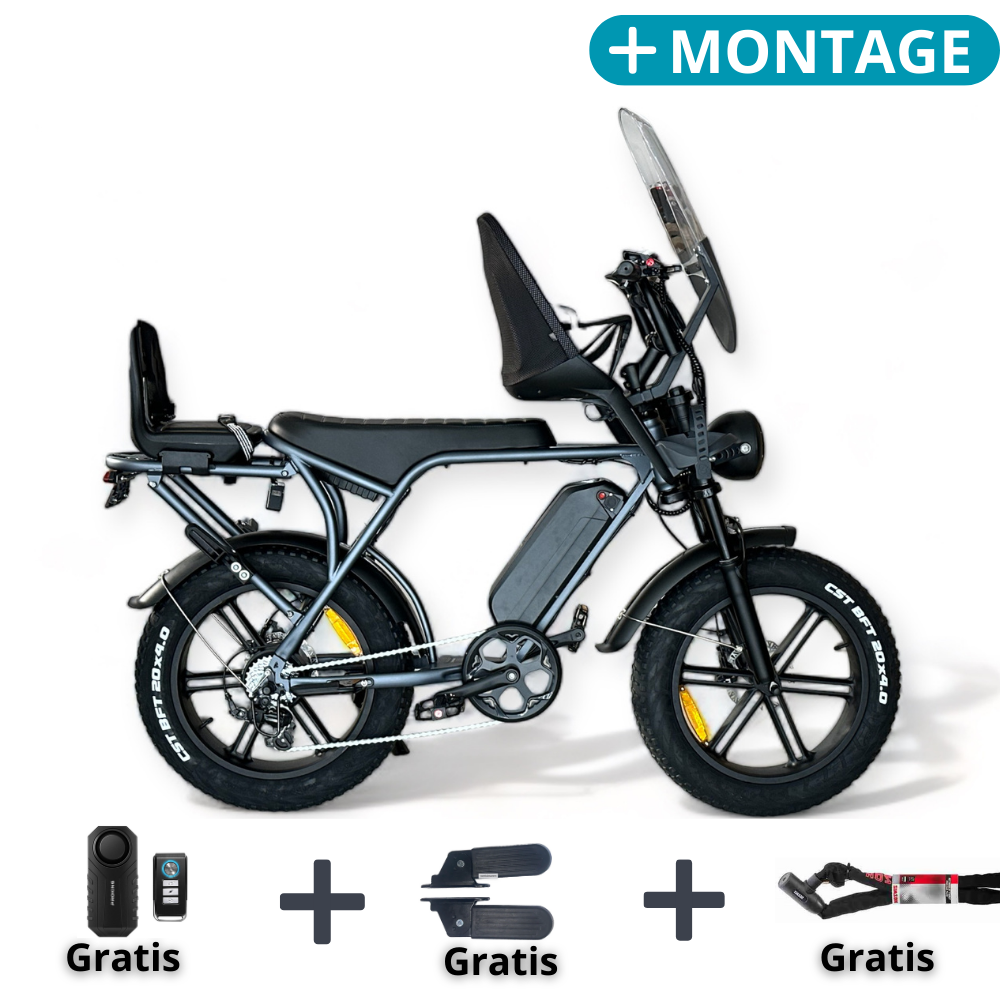 Fat-Bike | V8 | 3.0 | Grey