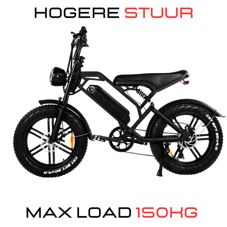 Fat-Bike | V20 Pro