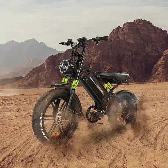 Fat-Bike | V20 Pro