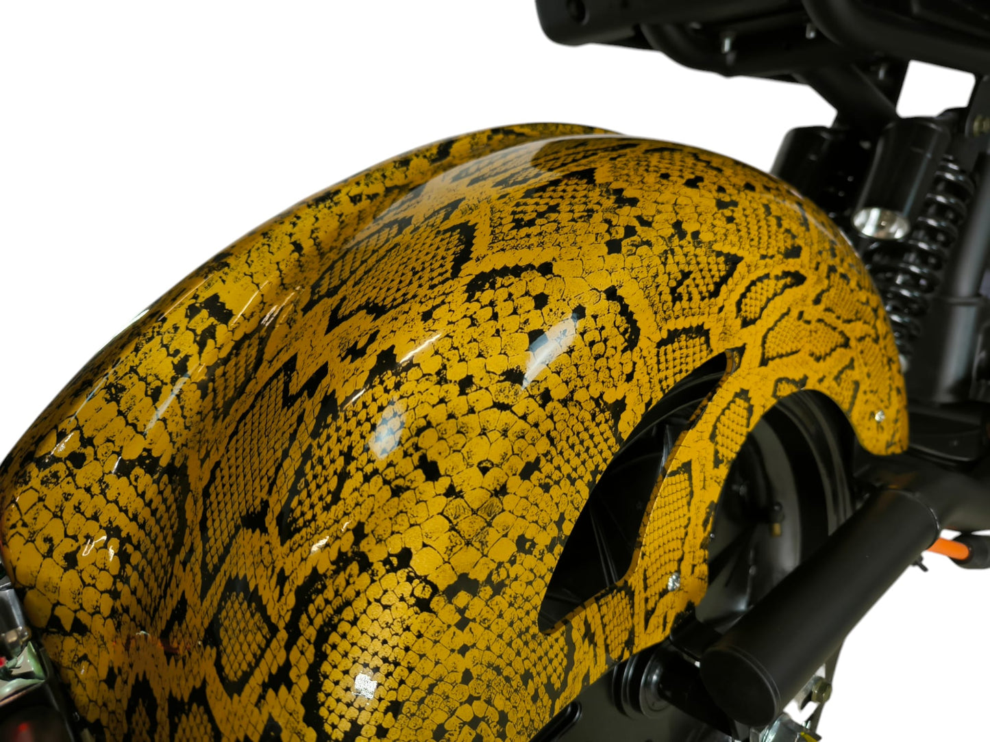 Cafecruiser HL6.0 | Reptilian Gold