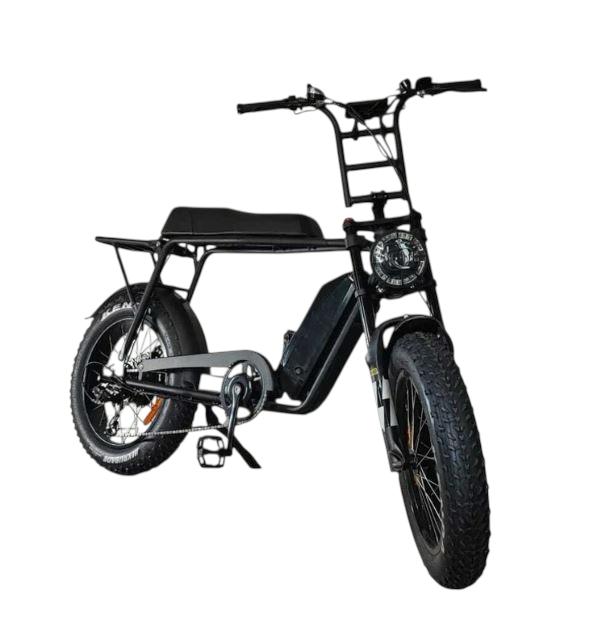 Fat-Bike V10