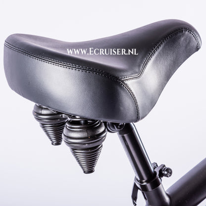Vintage-Cruiser Ebike | Groen