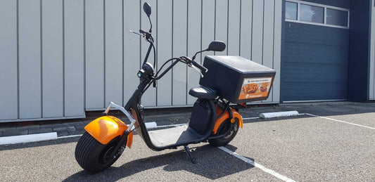 Ecruiser X1 - Delivery Cruiser